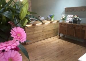 Led lighting installed in the ivy florist Stevenage installed by our electricians